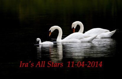 Ira's Allstars 2014